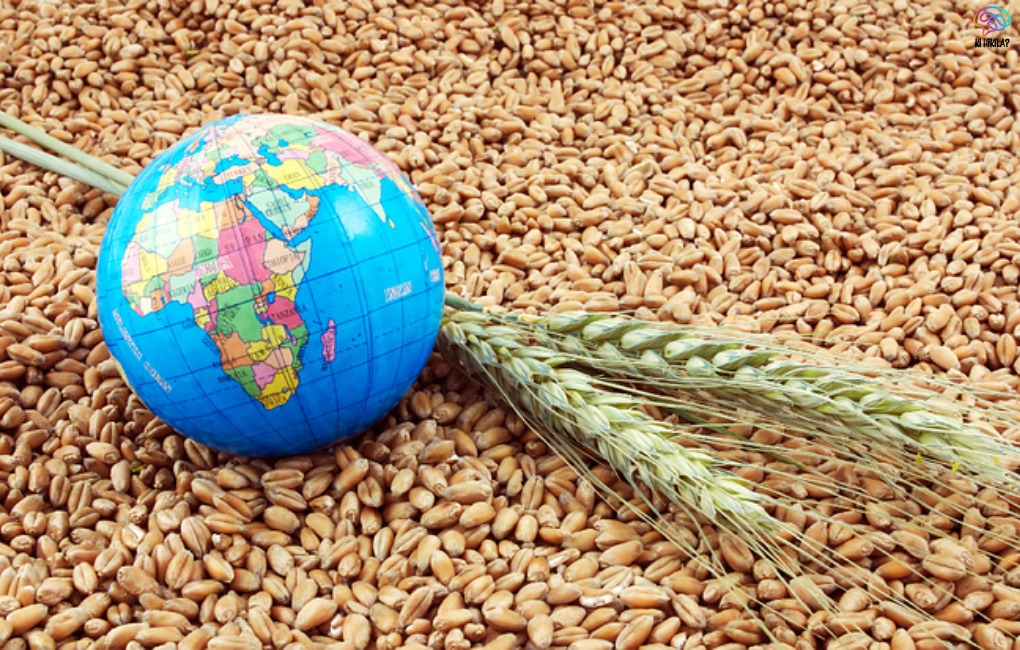 India Global Food Security 2025, India hunger reduction, India nutrition policy, food distribution system India, One Nation One Ration Card,