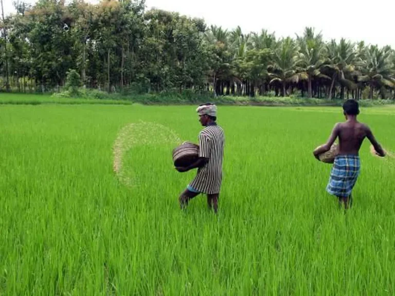 India Fertiliser Demand