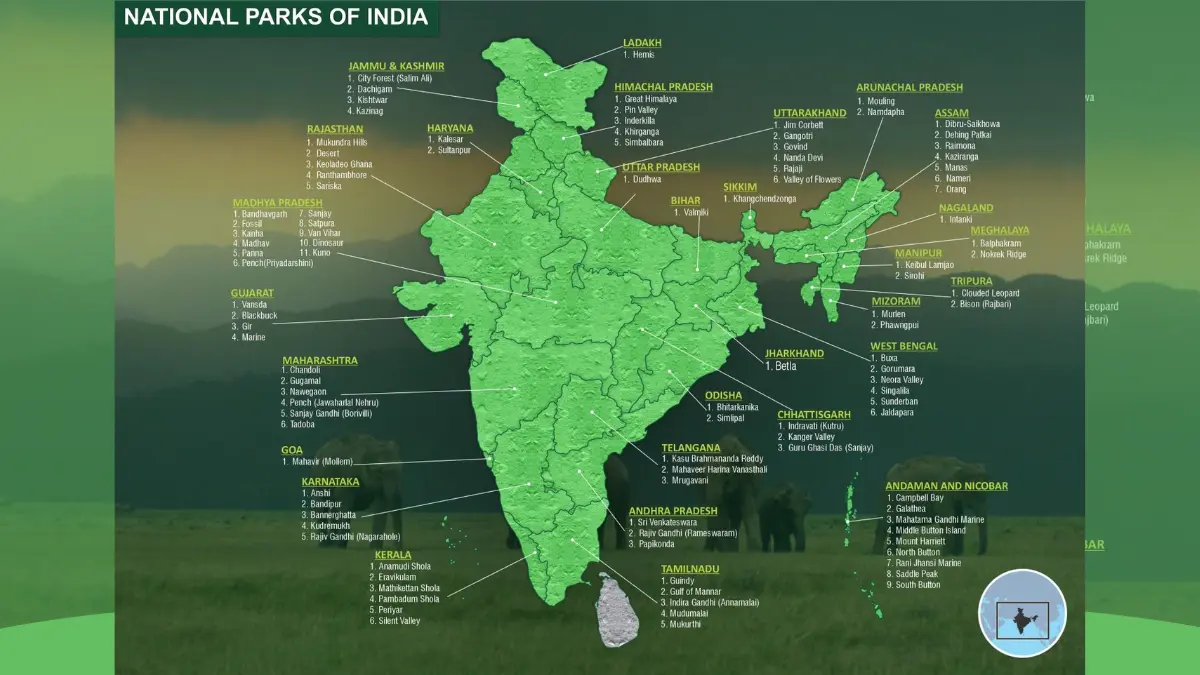 Map of India highlighting the location and list of major national parks by state, detailing the extensive network of national parks of India.