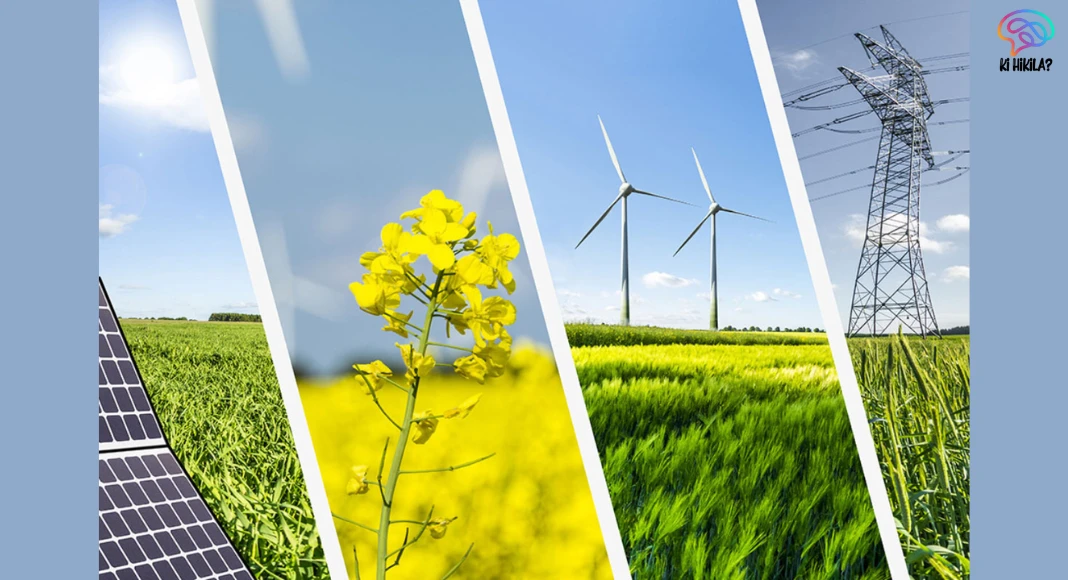 National Biofoundry Network to Boost India’s Bioeconomy and Biotech Innovation National Biofoundry