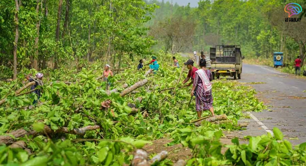 Forest Rights Act Report