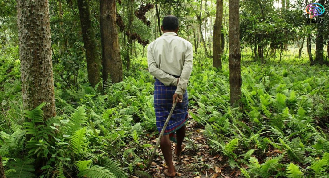 Forest Rights Act Report