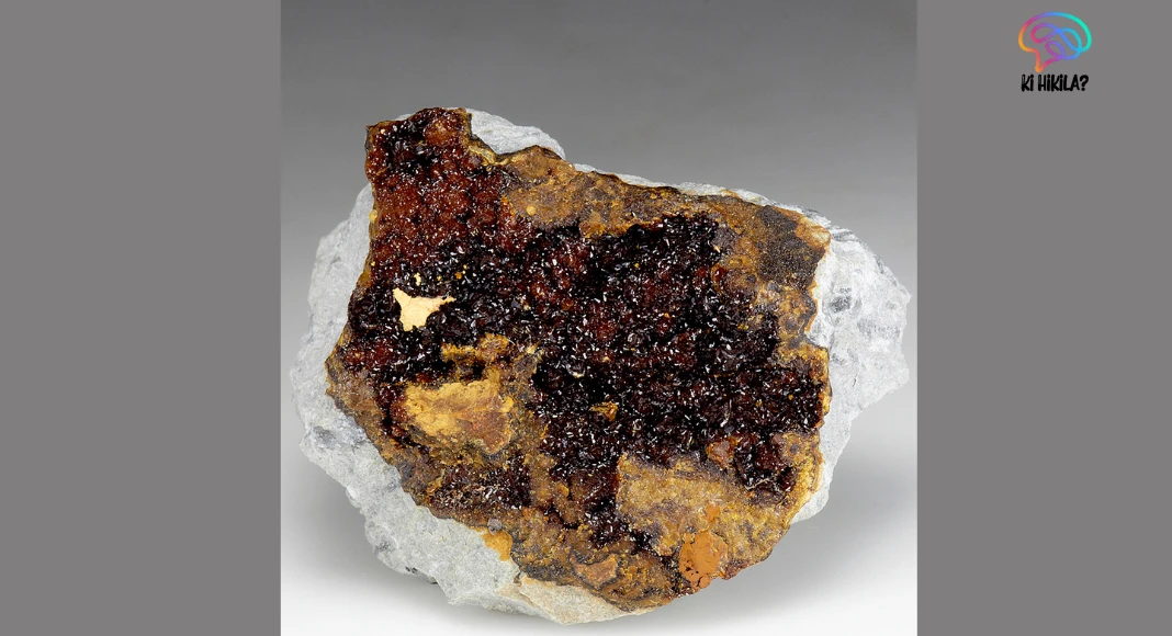 Jarosite Discovery in Kutch Strengthens Links Between Earth and Mars Jarosite Discovery in Kutch