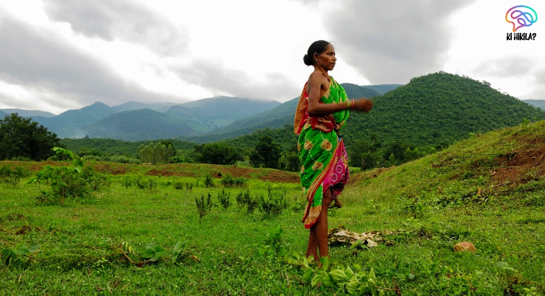 Dongar Cultivation Odisha