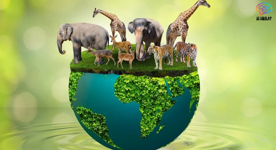 World Animal Day: Celebrating and Protecting Our Planet’s Creatures World Animal Day