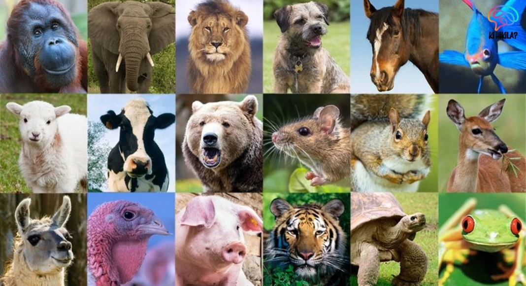 World Animal Day: Celebrating and Protecting Our Planet’s Creatures World Animal Day