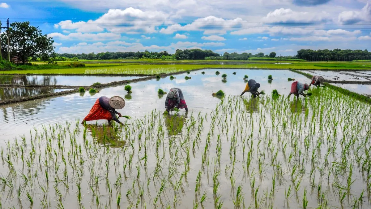 AI Monsoon Forecasting