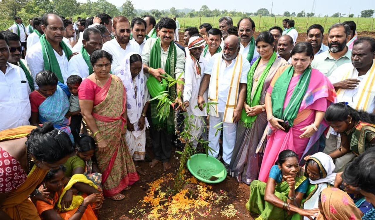 Bamboo Project Empowers Kolam Tribe in Adilabad 2025 Pretorius 188 Bamboo Project