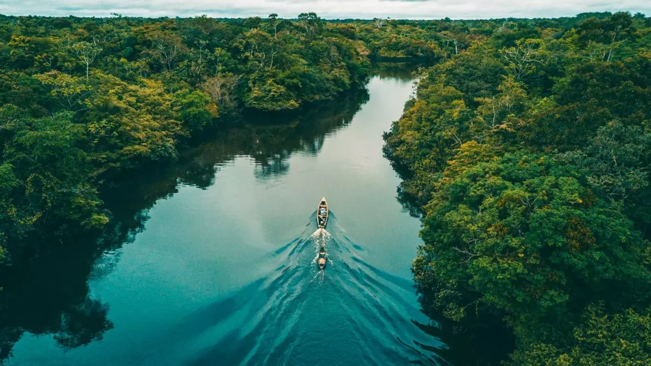 Brazil Forest Conservation Fund
