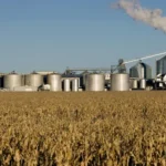 India Isobutanol Diesel Blending
