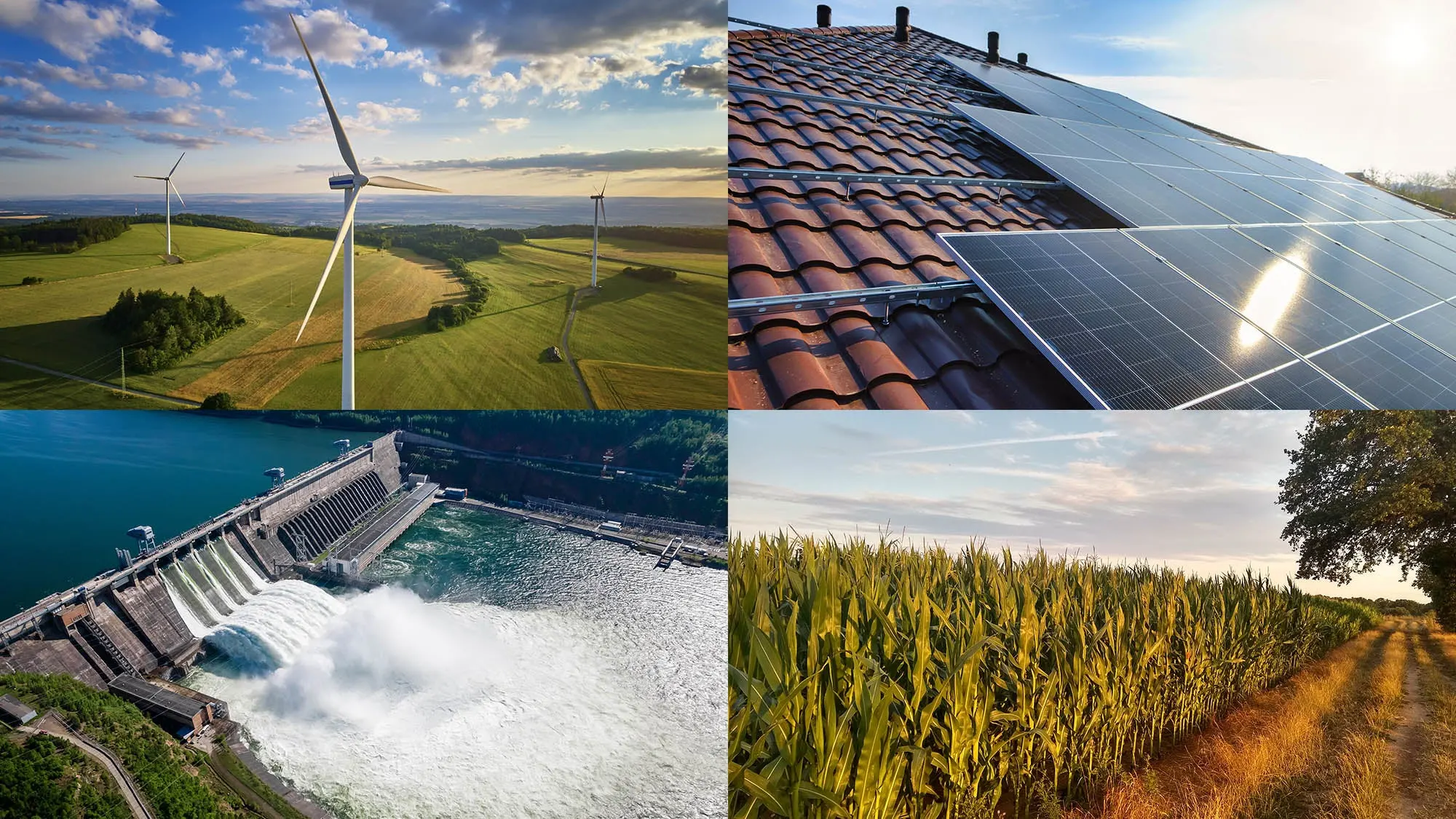 India Solar Wind Power 2025