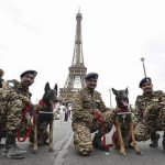 Indian Dog Breeds in BSF K9 Units