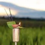 Kati Bihu Wishes