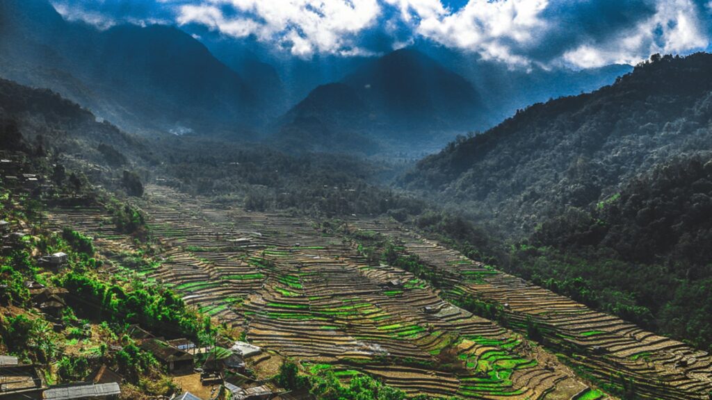 Nagaland Dzükou Valley Global Tourist Spot Nagaland Dzükou Valley