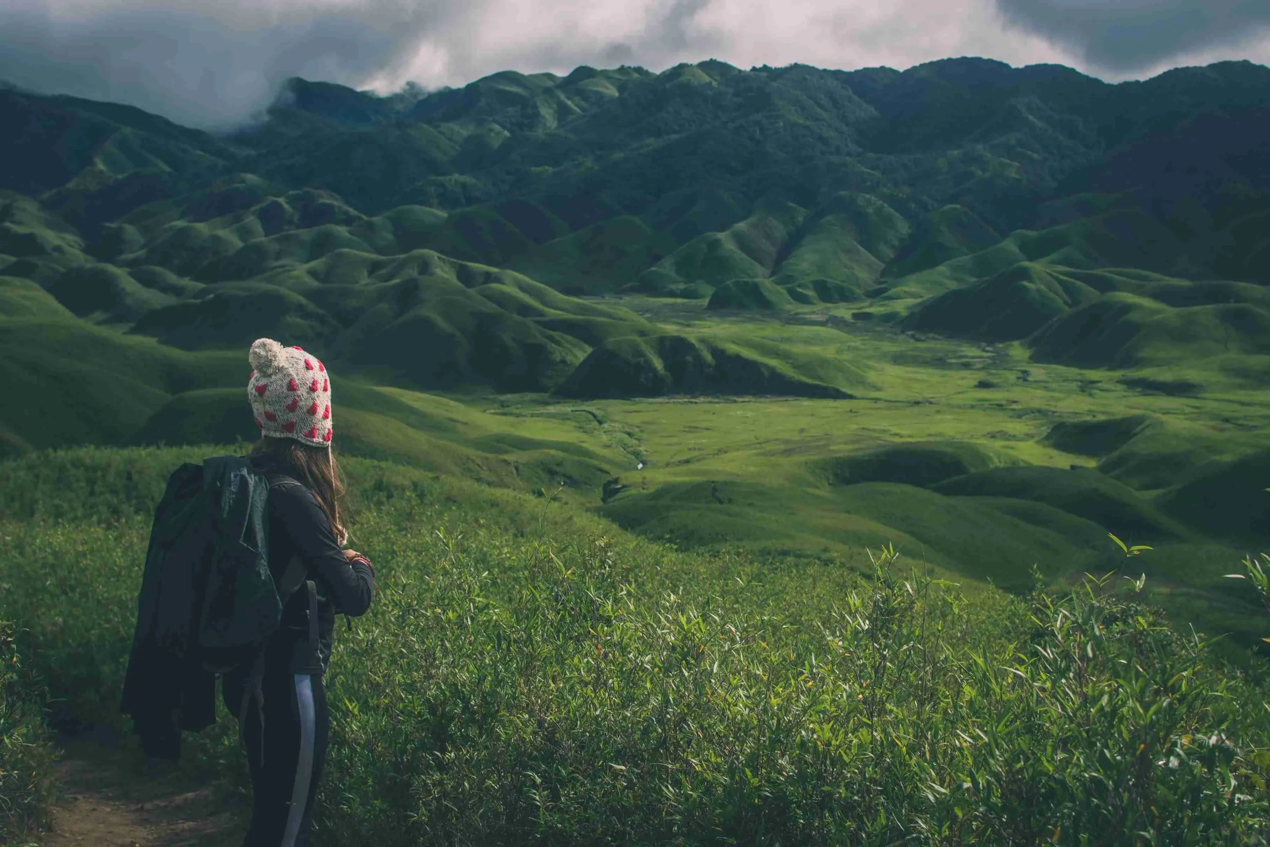 Nagaland Dzükou Valley Global Tourist Spot Nagaland Dzükou Valley