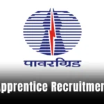 PGCIL Apprentice Recruitment 2025