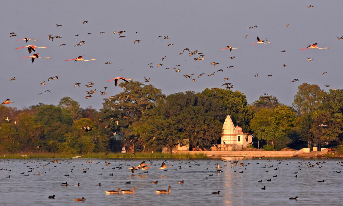 Udaipur Ramsar Wetland City