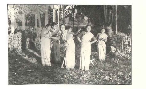 The Sonowal Kacharis Tribe