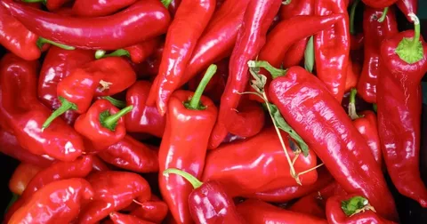 Sirarakhong Hathei Chilli Festival