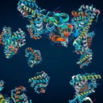 Protein P47