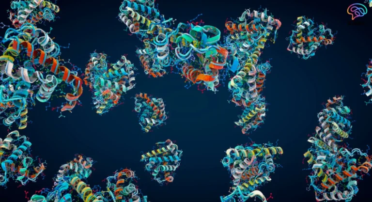 Protein P47