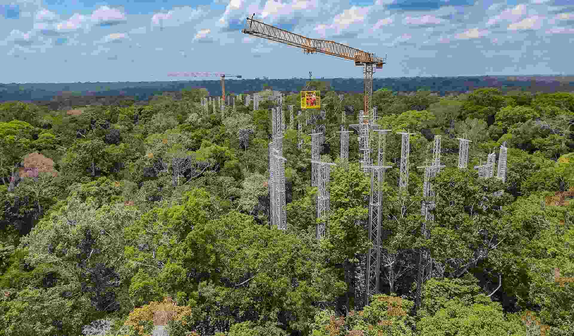 AmazonFACE Climate Adaptation Project Simulates Future Atmosphere - Ki ...