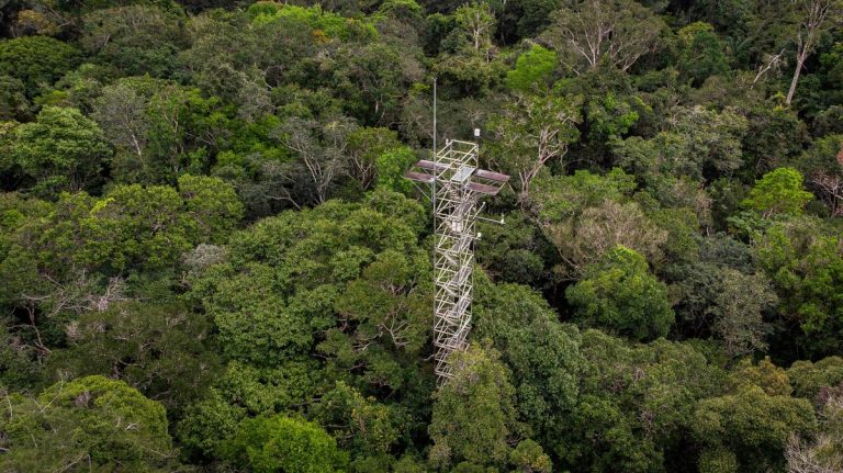 AmazonFACE Climate Adaptation Project