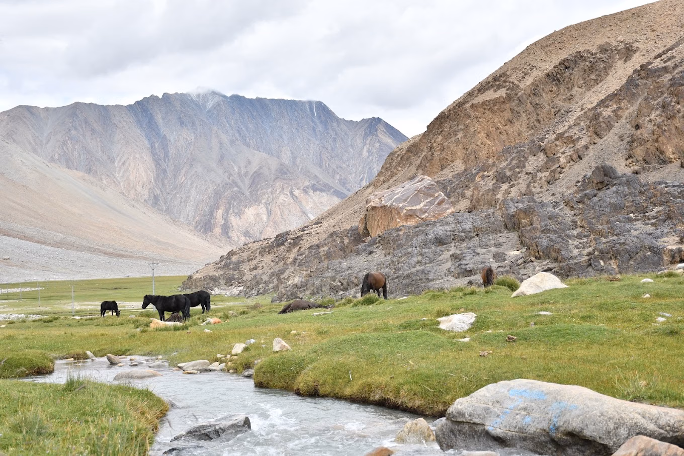 Ladakh Sanctuary Redraw Proposal