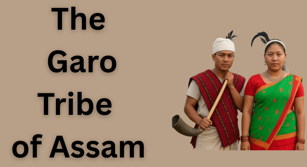 The Garo