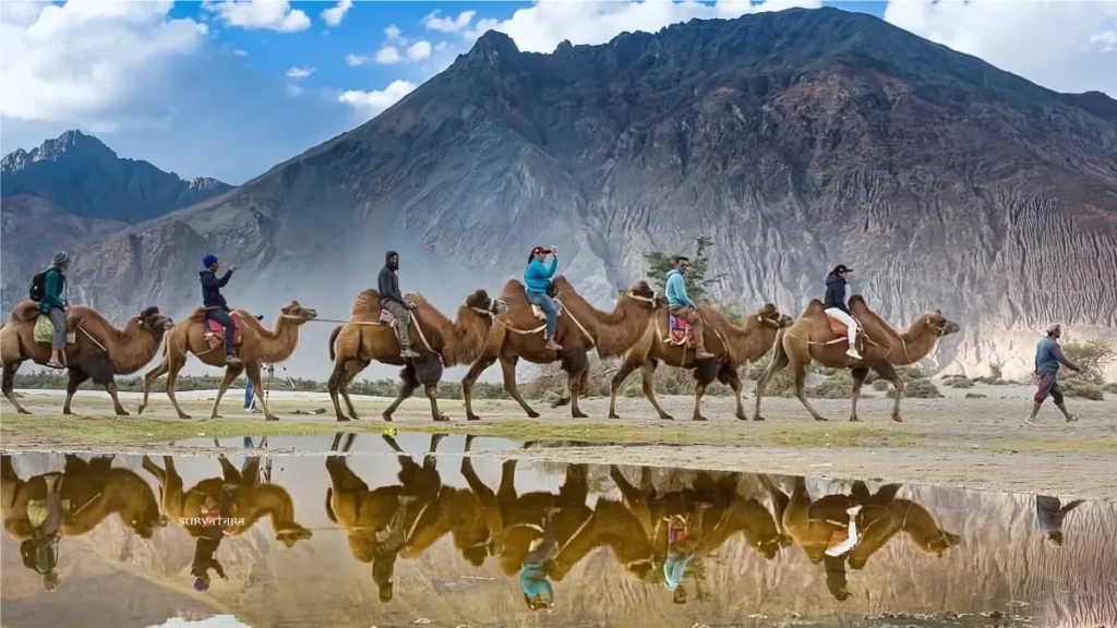 Ladakh Sanctuary Redraw Proposal
