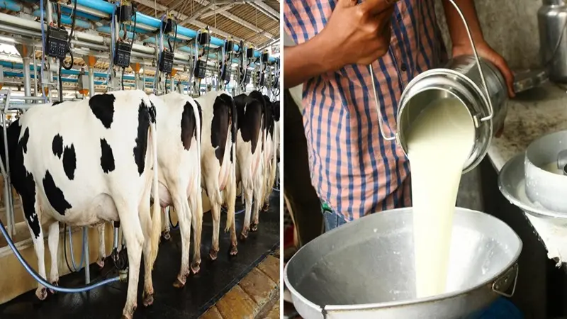 National Milk Day