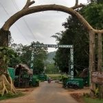 Satkosia Tiger Reserve Village Relocation Irregularities