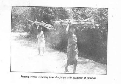 Hajong tribe of Assam: A Deep Exploration of Their History, Culture and Identity Hajong Tribe of Assam