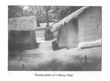 Hajong tribe of Assam: A Deep Exploration of Their History, Culture and Identity Hajong Tribe of Assam