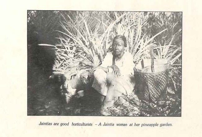 Jaintias Tribe of Assam