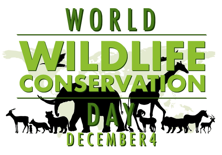 Wildlife Conservation Day