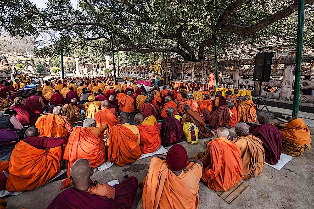 Bodhi Day: Celebrating the Enlightenment of Buddha Bodhi Day