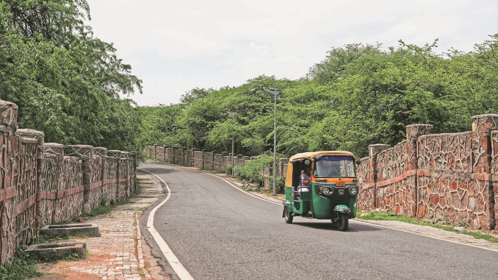 Delhi Ridge Board Constituted