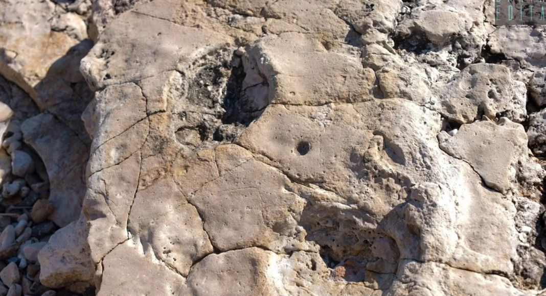 Dinosaur Footprints in Italy