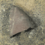 Lake Biwa Ancient Pottery