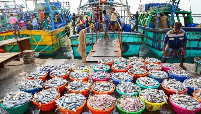 Lakshadweep Investors Meet Marks a New Chapter for Fisheries and Aquaculture Development Lakshadweep Investors Meet