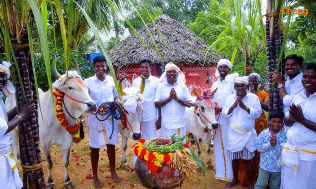 Pongal