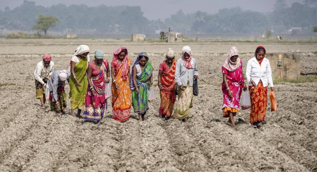 Madhya Pradesh Rolling Budget