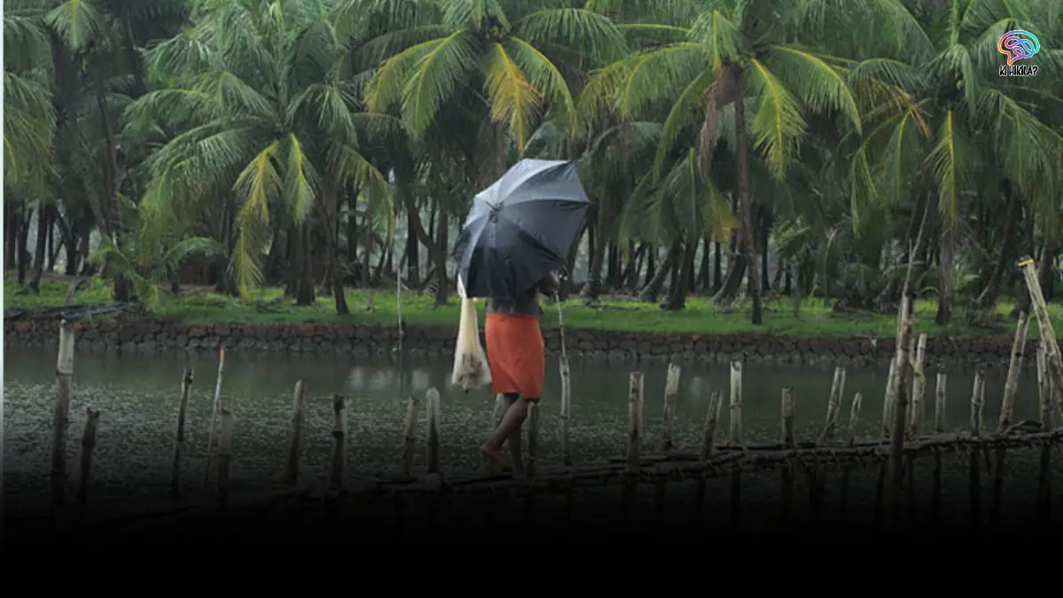 What Happened in India 2025? The Complete Year That Changed Everything What Happened in India 2025 - Kerala Monsoon