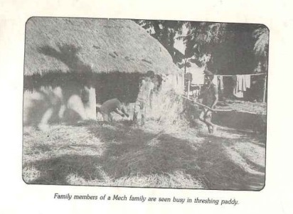 The Meches Tribe of Assam: Culture and Heritage The Meches tribe of Assam
