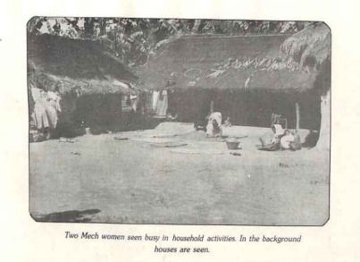 The Meches Tribe of Assam: Culture and Heritage The Meches tribe of Assam