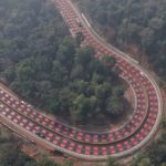 Wildlife-Safe Road