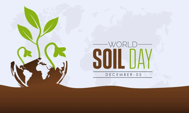 World Soil Day
