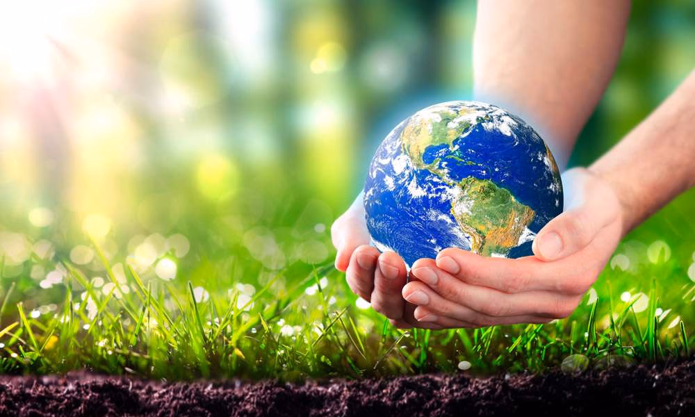 World Soil Day: Healing the Soil, Healing the Earth World Soil Day