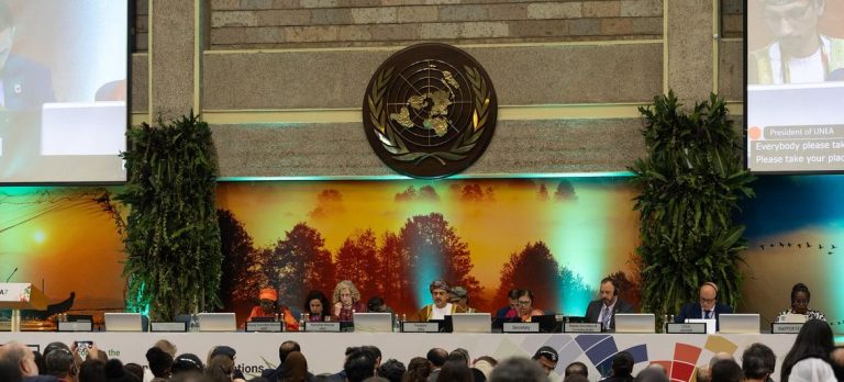 UNEA-7 Medium-Term Strategy